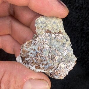 Könnte beinhalten: Nahaufnahme einer Mineralprobe, die in einer Hand gehalten wird. Das Gestein hat ein geschichtetes Aussehen mit schimmernden, metallischen braunen und silbernen Flocken. Der obere Teil ist eine raue, hellfarbige Matrix mit kleinen, dunklen Einschlüssen.