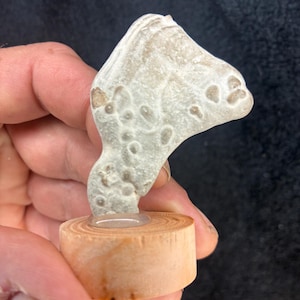 May include: A light-colored, uniquely shaped stone sculpture mounted on a small, round wooden base. The stone has a textured surface with small, circular indentations. The wooden base is a natural, light brown color.