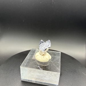 May include: A small, metallic-looking mineral specimen with a textured surface, mounted on a small, off-white base. The base sits atop a clear, rectangular acrylic block, against a dark background.