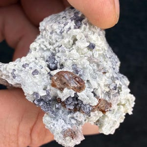 Könnte beinhalten: Nahaufnahme einer Mineralprobe, die in einer Hand gehalten wird. Die Probe weist eine Matrix aus Hellgrau und Weiß auf, in die dunkelviolette und braune Kristalle eingebettet sind. Die Kristalle haben ein reflektierendes, glasartiges Aussehen.