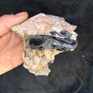 May include: A natural mineral specimen featuring a cluster of dark, lustrous crystals embedded in a matrix of light-colored rock. The crystals exhibit a deep, almost black color with hints of blue, contrasting with the lighter, textured background.