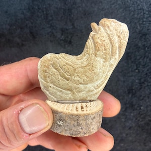 May include: A small, beige sculpture of a horse's head and neck, mounted on a round, wooden base. The sculpture has detailed carving and a textured surface. The base is approximately 1 inch in diameter.