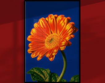 Pop-Art-Gänseblümchenposter: Kräftig orangefarbene Blume auf blauem Grund, groovige Wanddekoration im 60er-Jahre-Stil