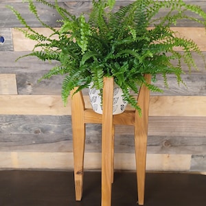 Op de afbeelding: Een weelderige groene varenplant in een witte pot met een zwart bladerpatroon, geplaatst op een plantenstandaard van natuurlijk hout. De standaard heeft een eenvoudig, geometrisch ontwerp met vier poten. De achtergrond is een houten muur.