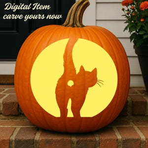 Pode incluir: Uma abóbora laranja brilhante com um recorte circular que ilumina a silhueta amarela de um gato em pé com a cauda levantada. O texto Digital Item carve yours now é visível no canto superior esquerdo da imagem.
