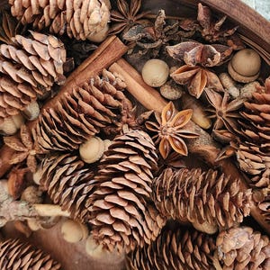 May include: A wooden bowl displaying a collection of natural items. It features pine cones, star anise, cinnamon sticks, and small nuts. The colour palette is dominated by warm browns and tans.