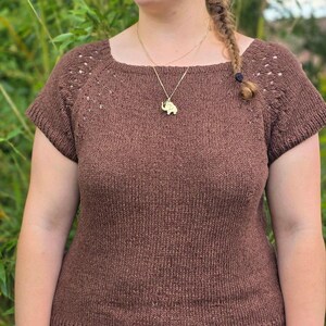 May include: A short-sleeved, brown knitted top featuring a wide, rounded neckline and delicate eyelet lace detailing along the shoulder seams. The garment is crafted with a consistent stockinette stitch pattern and finished with ribbed edges.