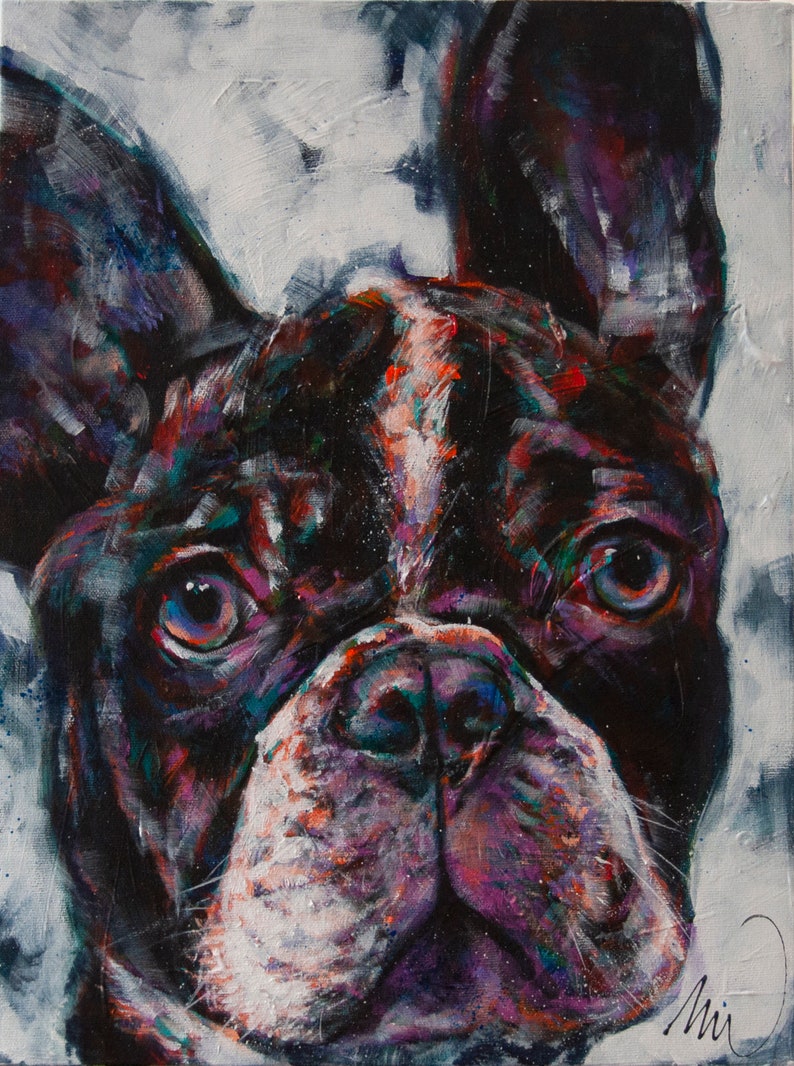 blue heeler mix with terrier