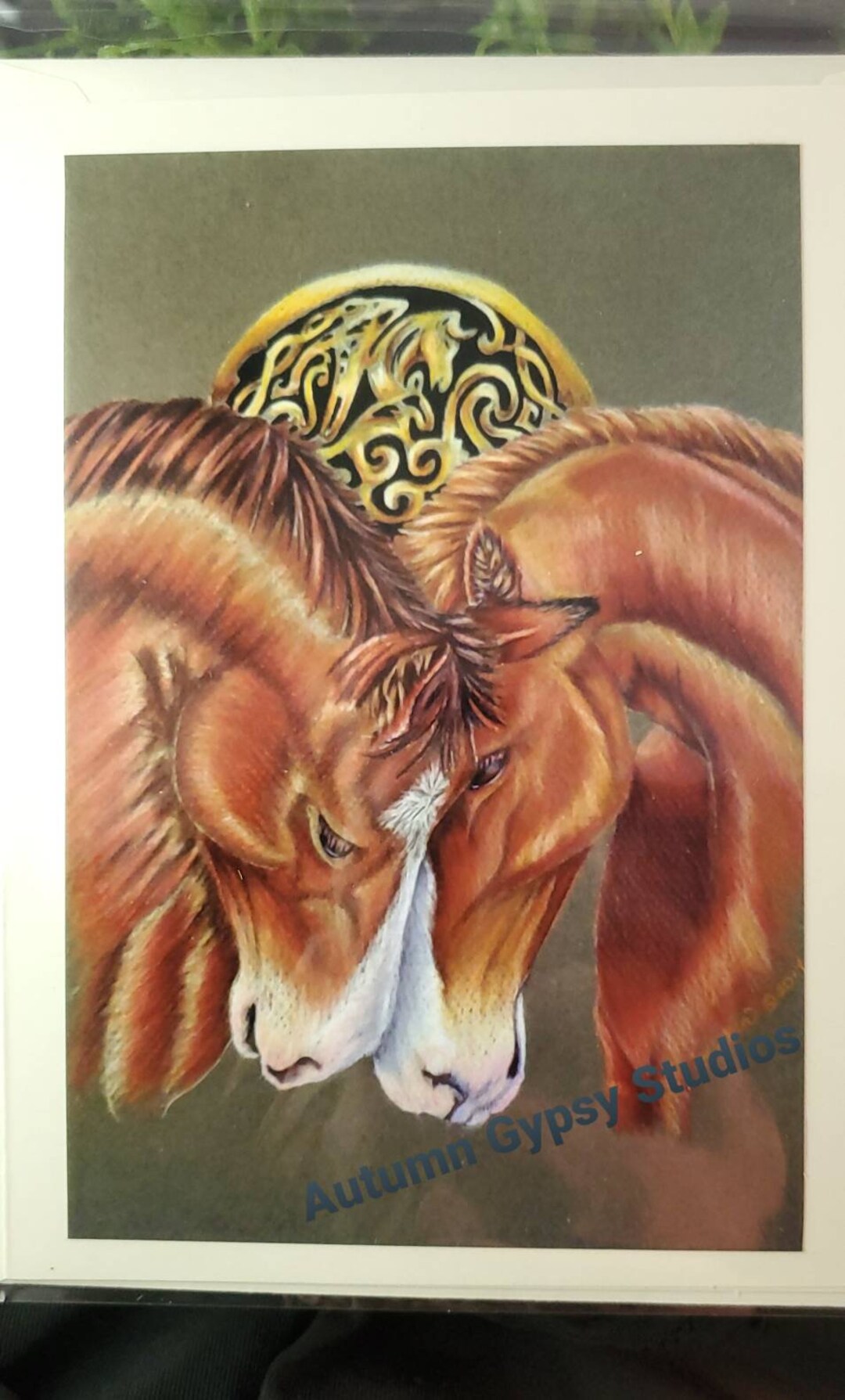Celtic Horses celtic Zodiac Series 5x7 Greeting Card Etsy