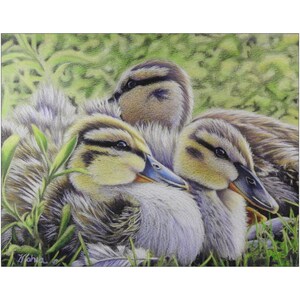 Baby Duck Colored Pencil Painting Prints, Baby Bird Painting, Wildlife Décor, Nursery Décor,Duck Themed Gifts, Hunter Gifts image 3