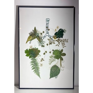 May include: A framed botanical art print featuring a stylized depiction of lungs. The artwork is composed of various pressed green leaves and ferns, arranged against a white background. The frame is black.