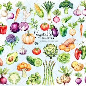 Lot de cliparts de légumes mignons - Aquarelles carottes, brocolis, tomates PNG, clipart aliments frais de la ferme pour travaux manuels enfants et décoration de cuisine