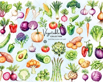 Lindo paquete de imágenes prediseñadas de verduras: zanahoria, brócoli y tomate en acuarela. Imágenes prediseñadas de alimentos frescos de granja para manualidades infantiles y decoración de cocina.