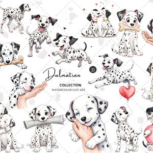 May include: Watercolor clip art collection featuring various Dalmatian dog illustrations. The dogs are depicted in playful poses, with black spots on a white background. Some hold bones, newspapers, or hearts. The text "Dalmatian Collection" is also present.