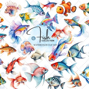 Niedliche Fische Clipart - Aquarell Ozeantiere, Meeresleben PNG, Unterwasser-Party-Dekor, digitaler Download, kommerzielle Nutzung 46 PNG