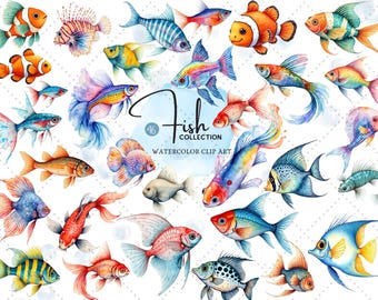 Cute Fish Clipart – Watercolor Ocean Animals, Sea Life PNG, Under the Sea Party Decor, Digital Download, Commercial Use 46 PNG