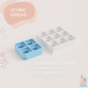 May include: A light blue square tray with four compartments and a white square tray with nine compartments. Text on the image reads KEYRING VERSIONS and INTERNAL OR EXTERNAL KEYRINGS FOR SPECIAL BASES. Both trays feature small loops for keyrings.