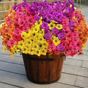 May include: A vibrant bouquet of colorful flowers in a wooden barrel. The flowers are a mix of yellow, pink, orange, and purple, creating a cheerful display. The barrel is made of dark brown wood and sits on a wooden deck.