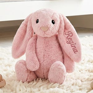 May include: A soft, plush, light pink stuffed rabbit toy with long, floppy ears. The name Regina is embroidered in a dark pink script font on the left ear. The rabbit has black button eyes and a light pink nose, sitting in a seated position.