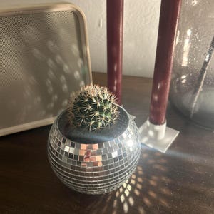 Könnte beinhalten: Ein kleiner Kaktus in einem Spiegelkugel-Pflanzgefäß steht auf einer dunklen Holzoberfläche. Zwei burgunderfarbene Kerzen stehen hinter dem Pflanzgefäß. Links ist ein Lautsprecher und rechts eine Glasvase.