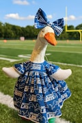 Porch goose TEAM OUTFIT (please read)