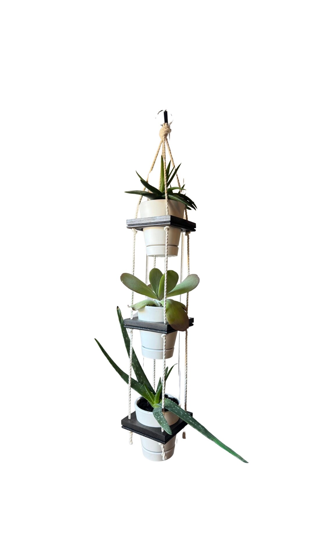 4-1/2x4-1/2 Three Tier Hanging Plant Holder, Indoor Plant Display ...