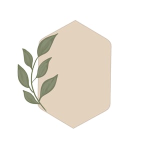 May include: A beige hexagonal frame with a leafy green branch extending from the left side.