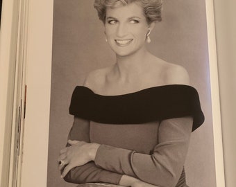 【J17732】DIANA A PORTRAIT il_fullxfull.5138545880_t6yg.jpg