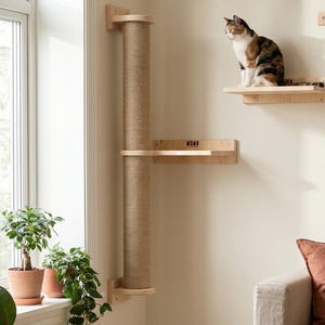May include: A modern cat tree with multiple levels and a scratching post. Two cats are on the shelves. The cat tree is made of wood and rope, with a neutral color scheme. The room has a sofa, rug, and plants.