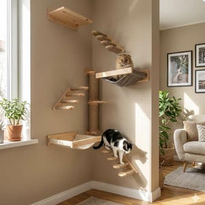 Conjunto de escalada para gatos montado na parede: rede de madeira, degraus e poste para arranhar