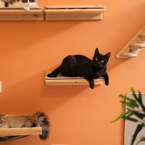May include: A black cat lounges on a wooden wall-mounted cat shelf with a beige carpeted surface. Additional shelves with cats are visible on an orange wall. The cat has yellow eyes and is the focal point of the image.
