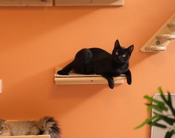 Modern Wall-Mounted Cat Shelves