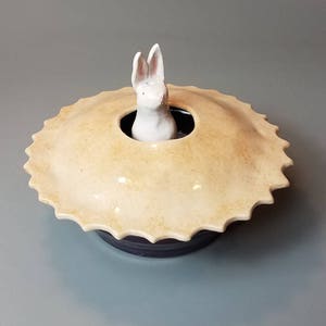 Pie Rabbit