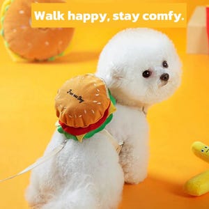 May include: A fluffy white dog wearing a burger-shaped costume with a leash. The costume has a tan bun, red and green fillings, and the text "I've got Joy". The background is a solid orange color with the text "Walk happy, stay comfy."