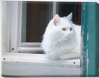 Le Chat Blanc Etsy Le Chat Blanc Etsy
