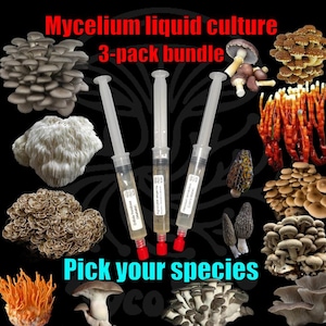 Puede incluir: Fondo negro con varias especies de hongos y tres jeringas. El texto dice "Mycelium liquid culture 3-pack bundle" y "Pick your species". La imagen muestra diferentes tipos de hongos.
