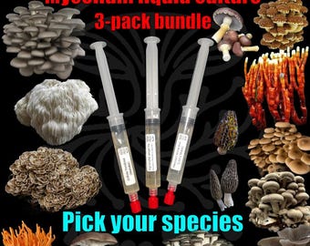 Packung mit 3 Spritzen Myzel in Flüssigkultur – 3 x 10 ml, Art Ihrer Wahl.