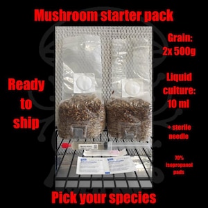 May include: A mushroom starter pack with two bags of grain, each containing 500g. Includes a 10 ml liquid culture, a sterile needle, and 70% isopropanol pads. Text on the image reads "Mushroom starter pack", "Ready to ship", and "Pick your species".