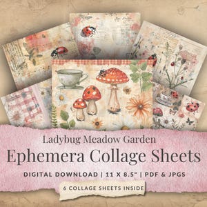 May include: A collection of six ephemera collage sheets with a ladybug meadow garden theme. The sheets feature vintage-style illustrations of ladybugs, mushrooms, flowers, and teacups. Each sheet is 11 x 8.5 inches and available as a digital download in PDF and JPG formats.