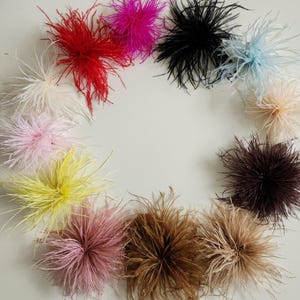 Könnte beinhalten: Eine Sammlung farbenfroher Federverzierungen, die kreisförmig angeordnet sind. Die Federn sind in verschiedenen Farben erhältlich, darunter Rot, Rosa, Schwarz, Blau, Gelb und Braun. Diese flauschigen, dekorativen Elemente werden wahrscheinlich für Bastelarbeiten oder Modeaccessoires verwendet.