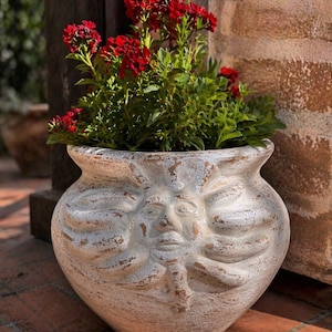 May include: A distressed, off-white ceramic plant pot featuring a sun-like face design, filled with vibrant red flowers and green foliage. The pot has a weathered finish, adding to its rustic charm. Suitable for outdoor gardening.