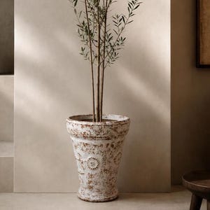 Puede incluir: Una planta alta y esbelta con hojas verdes finas y tallos leñosos está plantada en una maceta de cerámica de color blanco roto desgastado. La maceta presenta una forma cónica, un borde ancho y un acabado texturizado y envejecido con tonos marrones.