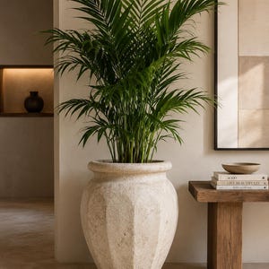 Puede incluir: Una planta de palma alta de color verde vibrante con frondas largas y plumosas está plantada en una maceta de piedra beige de gran tamaño con textura. La maceta presenta una forma redondeada y bulbosa con detalles estriados verticales.
