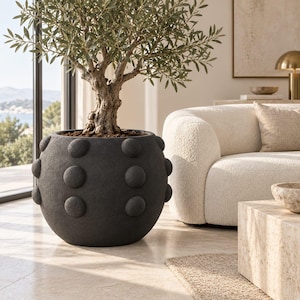 May include: A large, spherical, matte black planter with a textured surface featuring raised, circular, dome-shaped protrusions arranged in a grid pattern. The planter contains a small, leafy green tree with a thick, gnarled, woody trunk.
