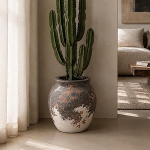 Puede incluir: Un cactus verde alto plantado en una maceta de cerámica redonda y desgastada. La maceta presenta una base gris oscuro con un acabado texturizado y envejecido, mostrando parches blancos y naranja óxido en su superficie, con un cuerpo ancho.