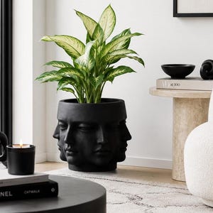 Large Sculptural Face Planter 15.7"x15.7" | Black Terracotta Head Pot|Handmade Statement Planter|Modern Luxury Home Decor|Artistic Face Vase