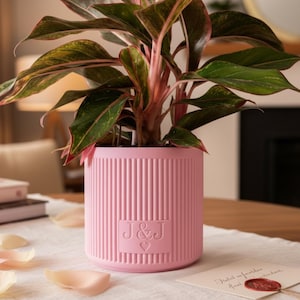 May include: A pink, ribbed plant pot with the initials "J & J" and a heart emblem, containing a houseplant with green and pink leaves. The pot is on a table with a white cloth, scattered petals and a card.