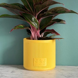 Plant Pot Personalised - Valentines | Personalised | Wedding | Birthday | Anniversary | Housewarming | New Baby Family Gift |