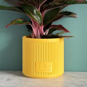 May include: A vibrant yellow plant pot with vertical ribbed detailing. It contains a houseplant with pink and green leaves. The pot features the initials "J & J" and the date "15.07.17" embossed on the front.