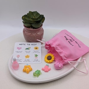 Sacchetto di delicati promemoria | Promemoria | Portafortuna | Idea regalo | 1238